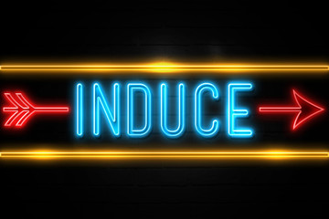 Induce  - fluorescent Neon Sign on brickwall Front view