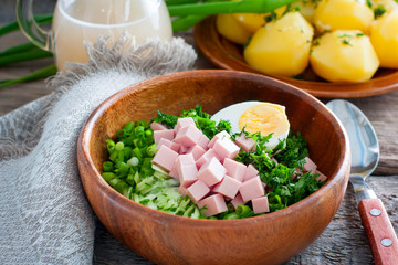 Traditional Russian cold summer soup - a bowl of sausage and fresh herbs, horizontal