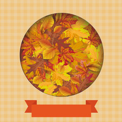 Autumn Cover Hole Foliage Ribbon