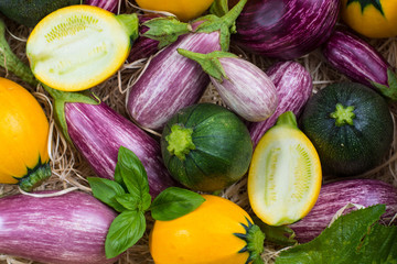 Fresh organic vegetables background, wallpaper - round courgette, small eggplants, diet concept, Italian and French food, healthy food.