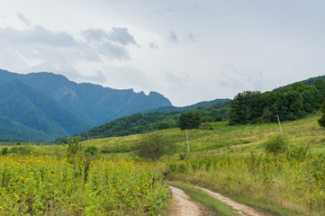 Dirt road in the mountains of Adygea republic, Krasnodar region, Russia