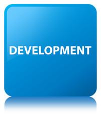 Development cyan blue square button
