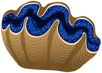 Giant clam vector © greenantphoto