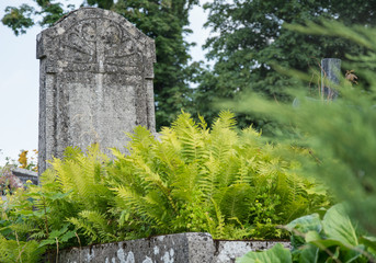 Fototapeta na wymiar Old grave with ornamental headstone and ferns - horizontal photo