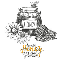 Honey. Design elements set. Detailed engraved. Vintage hand drawn vector illustration realistic sketch.