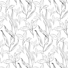 Monochrome Seamless pattern with plants 
