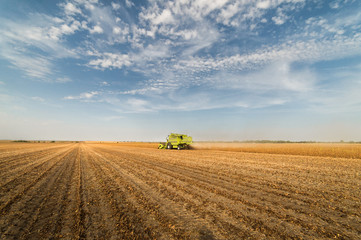 Harvesting of soybean field