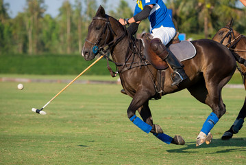 Side view of horse polo player.