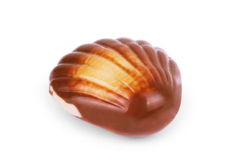 chocolate seashells on white background