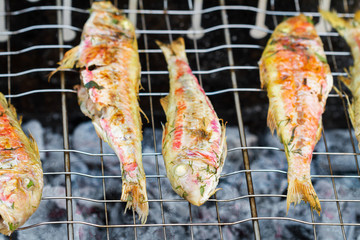 Grilled fish with spices on fire. Grilling fish surmullet on campfire (BBQ). Closeup, selective focus