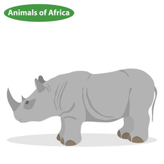 Rhinoceros, the icon of the rhinoceros, animals of Africa