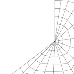 Cobweb and spider weave a web