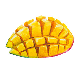 Half mango picture and painted with watercolor.