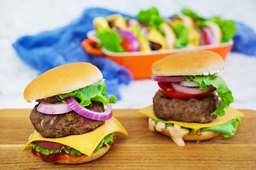 Delicious handmade burger on white background