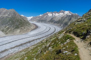 Summer view of Aletsch glacier from Bettmeralp, Swiss Alps, Switzerland