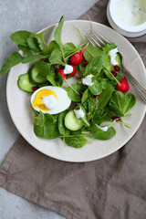 Spring salad on plate
