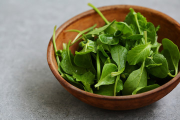 Micro greens for salad