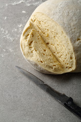 Raw yeast dough