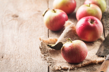 Fresh organic ripe apples