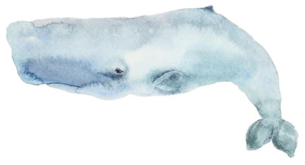 Watercolor blue whale
