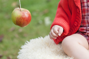An apple in the hands of a child