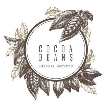 Chocolate cocoa beans and branch. Round frame template sketch illustration. Vector design elements hand drawn artwork.