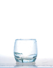 cool water, Ice cubes splashing into glass of water, water splashing from ice cubes being dropped in a glass.