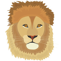 The head of a lion, a lion