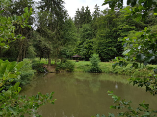 Waldsee, Kurpark, Bad Schwalbach, Hessen