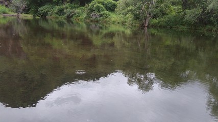Patna Devi Dam Water Look