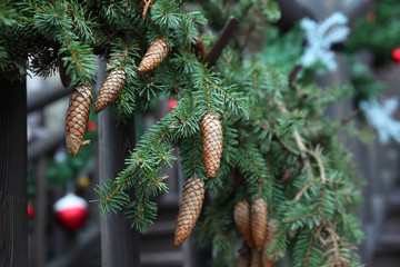 Christmas background fir-tree branches with cones