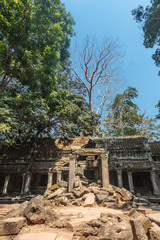 Ancient gallery of amazing Ta Prohm temple overgrown with trees. Mysterious ruins of Ta Prohm nestled among rainforest in Angkor, Siem Reap, Cambodia. Ta Prohm is also known as Tomb Raider