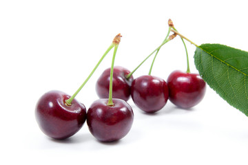 Sweet cherry isolated on a white background..