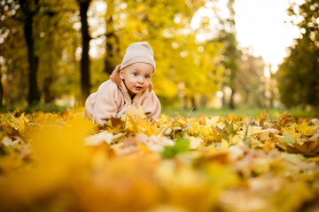 Crawling baby boy outdoors in autumn park