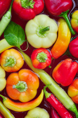 Assorted bell peppers in various colors, organic food, autumn season 