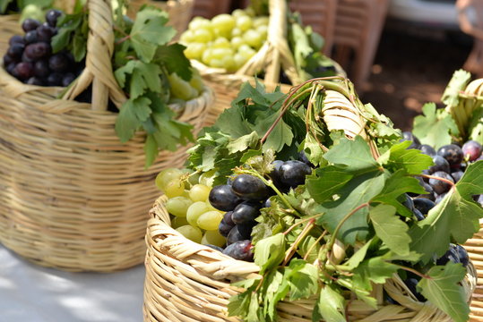 TARIM,AGRİCULTARE