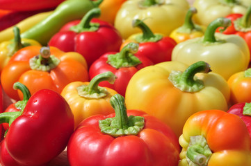 Assorted colorful bell peppers, organic healthy food 