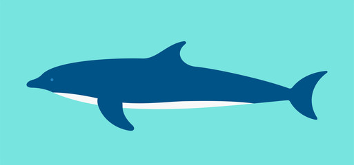 Obraz premium Dolphin