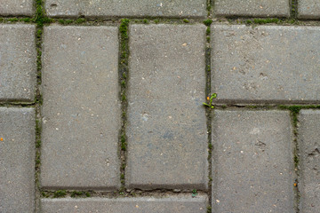 Sidewalk blocks / Texture of blocks in floor 