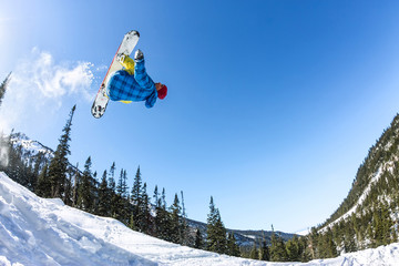 Naklejka na ściany i meble Snowboarder freerider jumping from a snow ramp in the sun on a background of forest and mountains
