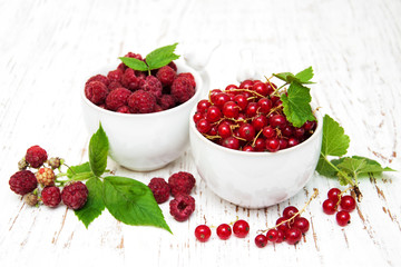 fresh red currant and raspberries