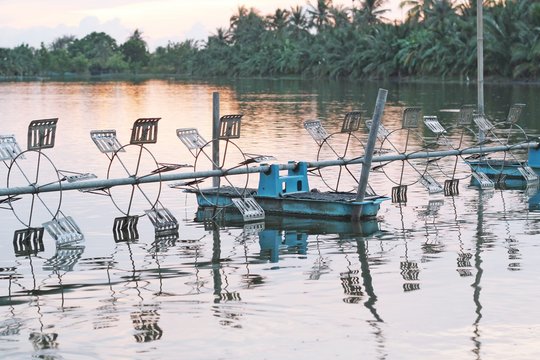 shrimp farm with paddle wheel aerator