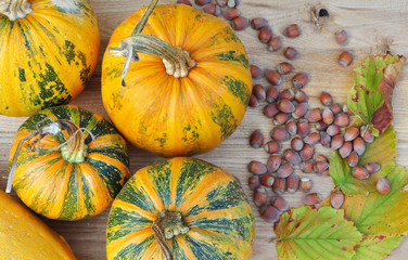 Pumpkins and hazelnuts on the wooden table, autumn harvest