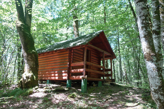 wild cabin