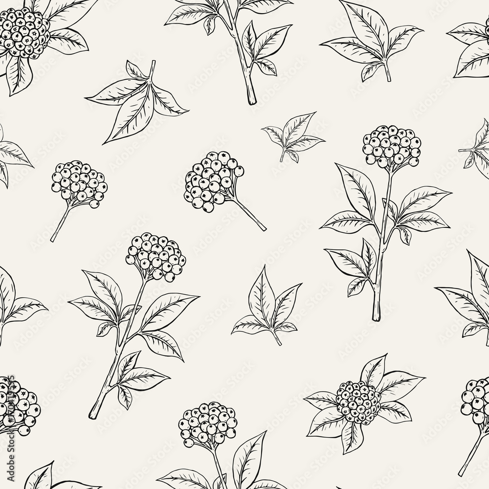 Poster lovely botanical seamless pattern with ginseng berries growing on stem with leaves on white backgrou