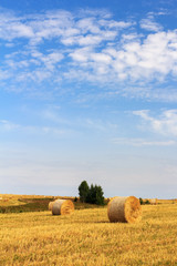 Fototapeta premium Straw bales in wheat field on sunny day