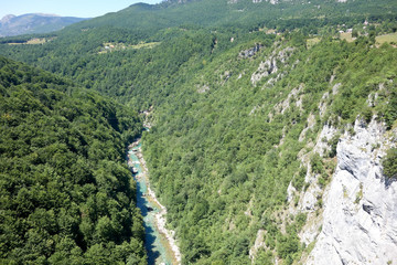 Fototapeta na wymiar The Tara River