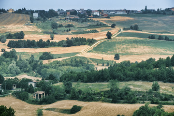 Fototapeta na wymiar Oltrepo Pavese (Italy), rural landscape at summer