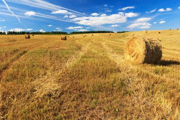 Fototapeta premium Hay and straw bales in field