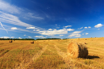 Fototapeta na wymiar Hay and straw bales in field